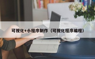 赤壁可视化+小程序制作（可视化程序编程）